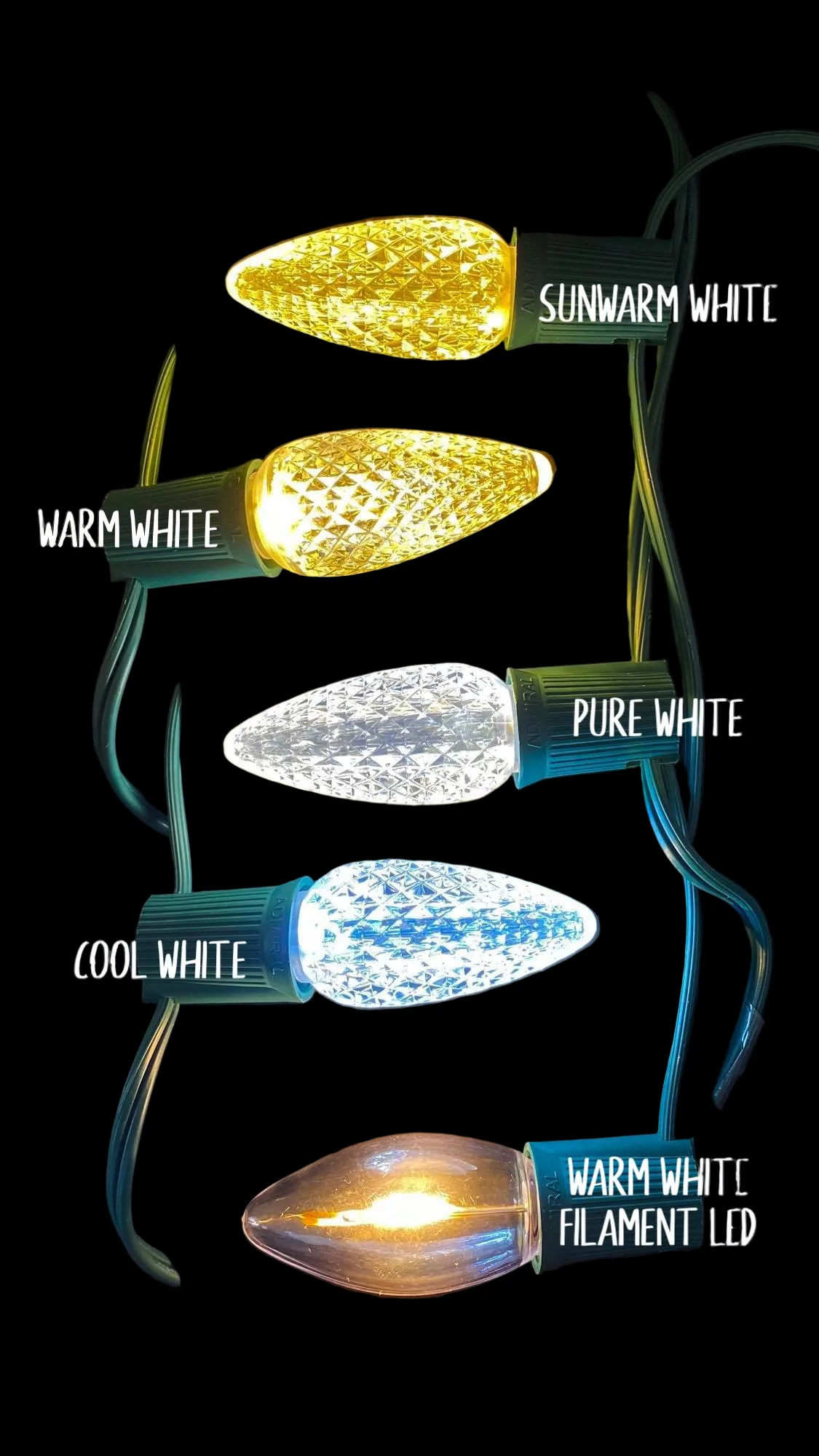 Sunwarm white, warm white, pure white, cool white, and warm white filament LED bulbs lit side by side